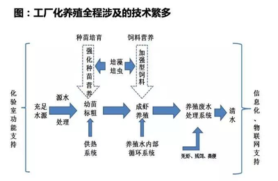 2018年生鮮供應鏈生態(tài)全景圖 新鮮蔬菜零售的變革與機遇
