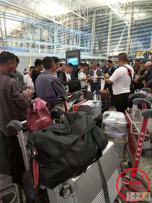 齊齊哈爾赴新西蘭勞務派遣 瓦工、電工與工廠工人的機遇與路徑